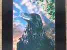 The Stranglers - RAVEN RARE ORIGINAL 1979 LP 3D COVER EX/EX