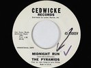 Surf Inst. 45 - Pyramids - Midnight Run - Cedwicke - VG+ mp3
