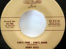 JIMMY RICKS 45 Unbeliever / She's Fine She's Mine JOSIE Original MINT- Cg 370