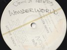 JOHN ST. PETERS T.P. 45:  WONDER WORLD/THIS TIME AROUND  RCA 103519  EX/EX  1980