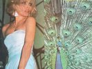 Rare Blondie Front Page Live 2 LP heart of glass debbie harry punk rock ramones