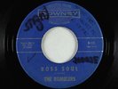 Garage Surf Inst. 45 - Rumblers - Boss Soul - Downey - mp3