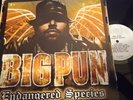 BIG PUN  