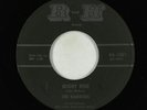 Surf Inst. 45 - Ramrods - Night Ride - R and H - mp3