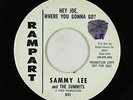 R&B Soul 45 - Sammy Lee & the Summits - Hey Joe - Rampart - mp3