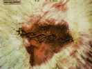 Litfiba - 17 Re (RSD 2021) 2 LP Crystal Vinyl