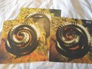 Nine Inch Nails Closer / Further Away parts 1 & 2 12