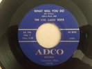 Ohio Bluegrass 45 LOG CABIN BOYS What Will You Do ADCO  hear