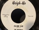 The Dagenites 45 Im Gone Slide/Now That Summers Gone HEIGH HO garage HEAR 619-45