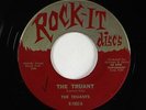 Surf Inst. 45 - Truants - The Truant/Sunset Surf - Rock-It - VG++ mp3