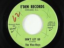 Rockabilly 45 - Vice-Roys - Don't Let Go - E'den - mp3 - rare