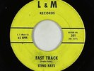 Surf 45 - Sting Rays - Fast Track - L&M - mp3