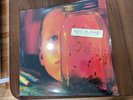 The OG 1994 Alice In Chains Jar Of Flies SAP Special Ltd. Edition Vinyl