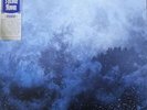 Celestite [Vinyl LP] Wolves In The Throne Room