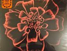 SIOUXSIE AND THE BANSHEES ALL SOULS LP ORANGE VINYL & SIGNED PRINT New & Sealed.