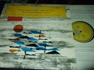 COTELLE/MARKEVITCH : DEBUSSY LA MER RED STEREO LP 1960 DGG 138073 SLPM GERMANY