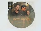 TWILIGHT New Moon Soundtrack 12