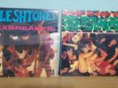 The Trashwomen Spend The Night With LP The Fleshtones Hexbreaker LP Garage Lot