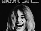 NOVAKS KAPELLE - Not enough poison
