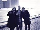 Medeski, Martin and Wood It's a Jungle in Here (RSD 2023) (Vinyl)