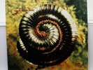 NINE INCH NAILS 