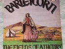 Barleycorn The Fields of Athenry **Free Shipping**