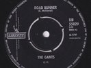 The GANTS * Road Runner * US GARAGE TEEN-BEAT * 1965 Dutch 45 * Listen