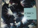Orbital RARE PROMO 12
