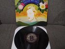 CONNIE CONVERSE How Sad, How Lovely LP black vinyl GORGEOUS played once 2015
