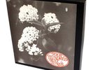 Your Hundred Best Tunes-10LP Box Set- World Record Club Australia R 08436-45