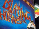BURNING HORNS Tommy McCook & Bobby Ellis GROVE MUSIC GMLP002 1977 Vinyl LP EX