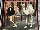 Reverend & The Makers - Heatwave In The Cold North (Sunburst Edit) - Vinyl LP