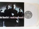 DEL AMITRI waking hours LP EX/VG+, AMA 9006, vinyl, album, folk rock, uk, 1990
