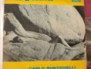 La Calda Vita - Carlo Rustichelli - OST - Italy 1964 - SUPER RARE