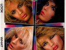 POISON   Look What The Cat Dragged In   Origional 1986 UK MFN 10-track vinyl LP