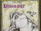 DINOSAUR JR You’re Living All Over Me LP real FIRST PRESSING no Jr SST 130 1987