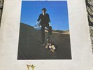 Pink floyd wish you were here vinyl lp 12” SHVL 814