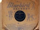 Doctor Clayton BLUEBIRD 9021 E/E+ 