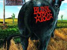 Blink-182 Dude Ranch 180GM BLACK VINYL LP +download NEW/SEALED