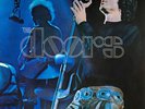 The Doors Absolutely Live GATEFOLD NEAR MINT Elektra 2xVinyl LP