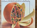 Ryo Kawasaki - Juice - Original US 1976 Rare vinyl   APL1-1855 Jazz