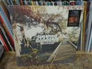 Gregg Allman Southern Blood [blue rock] LP NEW Hardwood COLORED vinyl + litho