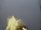 WOLF ALICE MY LOVE IS COOL DOUBLE BLACK VINYL WITH GATEFOLD AND LYRICS