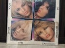 Poison LP (1986 Capitol/Enigma Original Press) Look What The Cat Dragged In (VG)