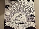 Cardinology by Ryan Adams (Blue Vinyl LP)