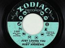 Northern Soul 45 - Ruby Andrews - Just Loving You - Zodiac - mp3
