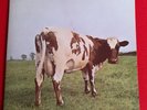 PINK FLOYD ATOM HEART MOTHER 1G/1G 1st PRESS No EMI *SUPERB* NM