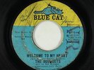 Northern Soul 45 - Bouquets - Welcome To My Heart - Blue Cat - mp3