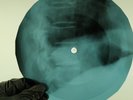 CREAM WHITE ROOM X-Ray USSR Record Roentgen Bones Ribs Music Vinyl