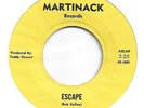 PSYCH GARAGE ROCK THE WHAT ESCAPE DYLLON SUMMERTIME MARTINACK RECORD 7